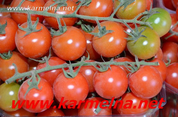 خضار وفواكة ربيع ابو الزلف